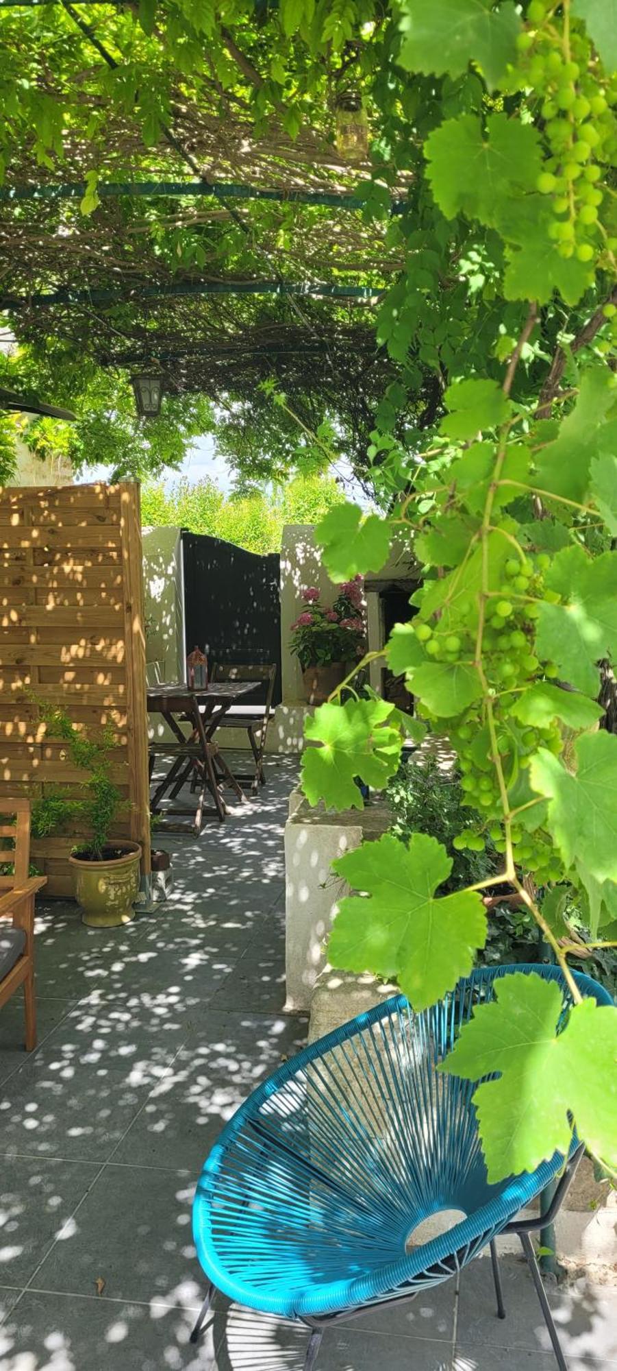 Location Appartement Dans Mas Provencal Monteux Ngoại thất bức ảnh